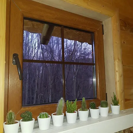 Lozanski Ambar Villa