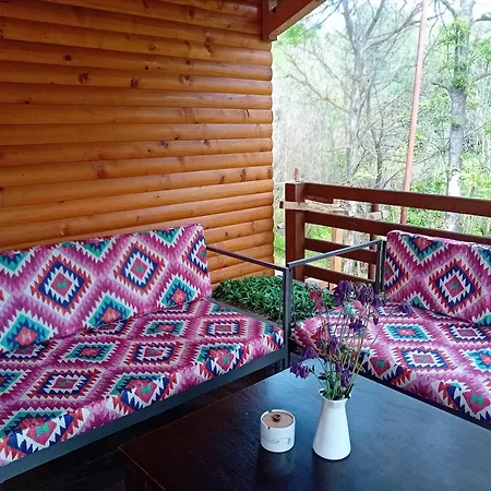 Villa Lozanski Ambar *