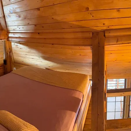 Lozanski Ambar Villa *