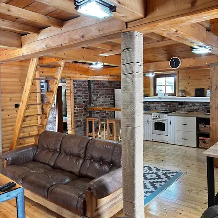 Lozanski Ambar Villa Boljevac